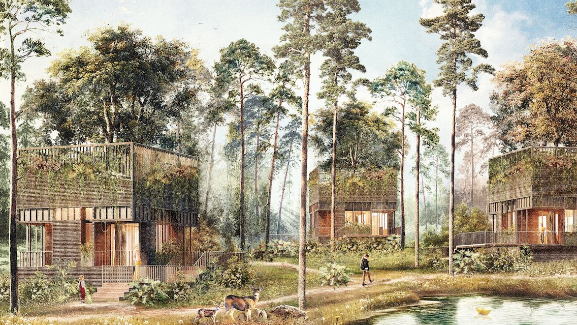 Do prostředí prastarého lesa navrhl architekt domky, které s ním splynou